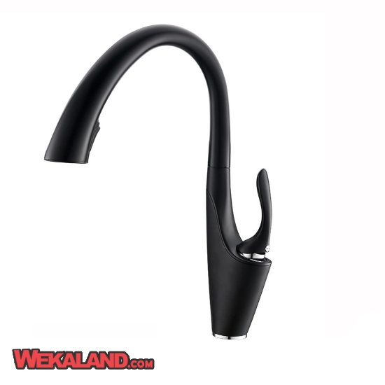 تصویر  شیر ظرفشویی  شاوری 