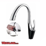 تصویر  شیر ظرفشویی  شاوری 