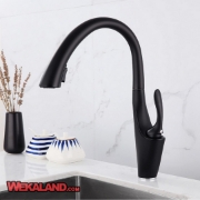 تصویر  شیر ظرفشویی  شاوری 